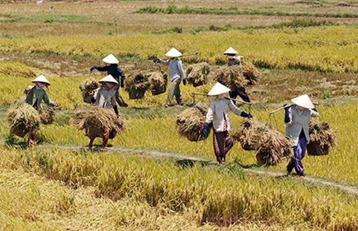 Hotspot Matrix: Động lực mới cho ngành công nghiệp nội dung số