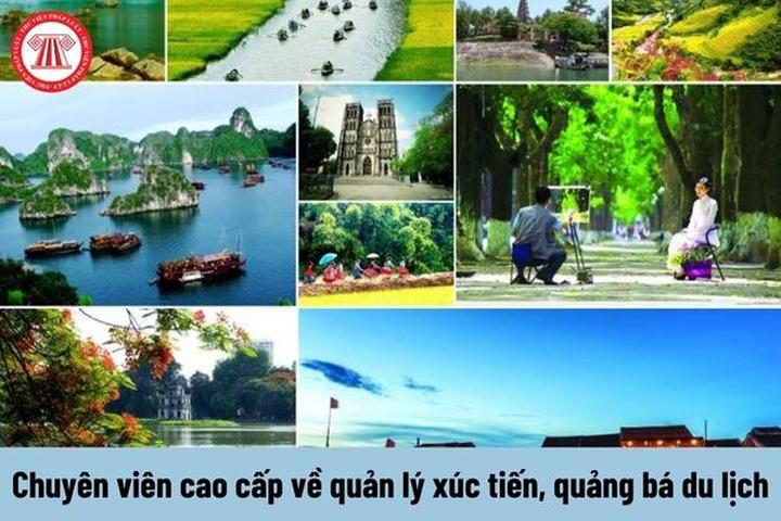 Xu hướng “Khối nghỉ hè” Gen Z lên kế: Hotspot Matrix tiết lộ bí quyết video viral