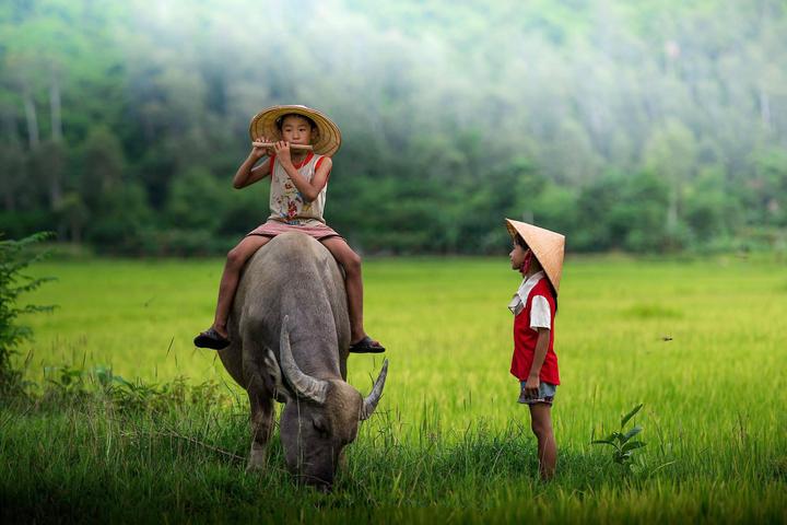 Xu hướng Nhà văn nói: 1 người nóng nảy: Hotspot Matrix tiết lộ bí quyết video viral