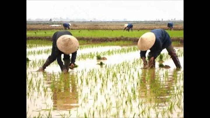 Mùa hè đang trở nên sôi động hơn với sự xuất hiện của chuỗi sự kiện