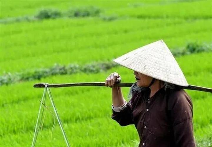 Đam mê sách, kiếm tiền từ video ngắn: Hotspot Matrix và Vlogger sách