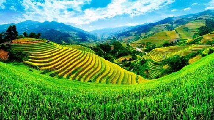 Hotspot Matrix: Nâng tầm sáng tạo, giải phóng gánh nặng vận hành