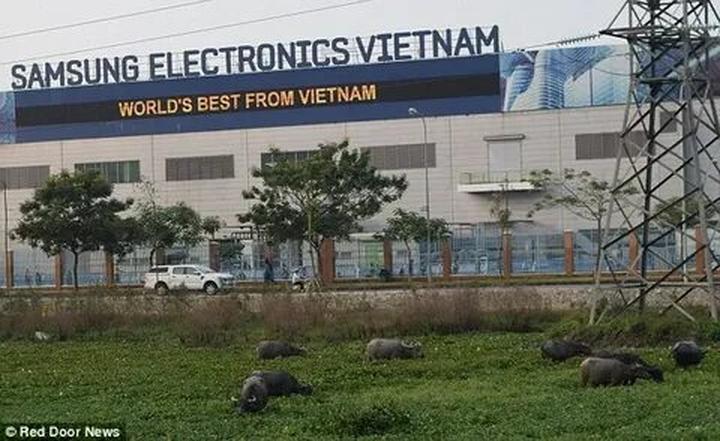 Chuyên gia Hotspot Matrix phân tích: Thế hệ sống